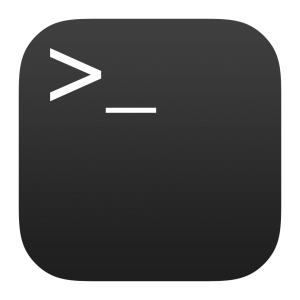 a terminal icon