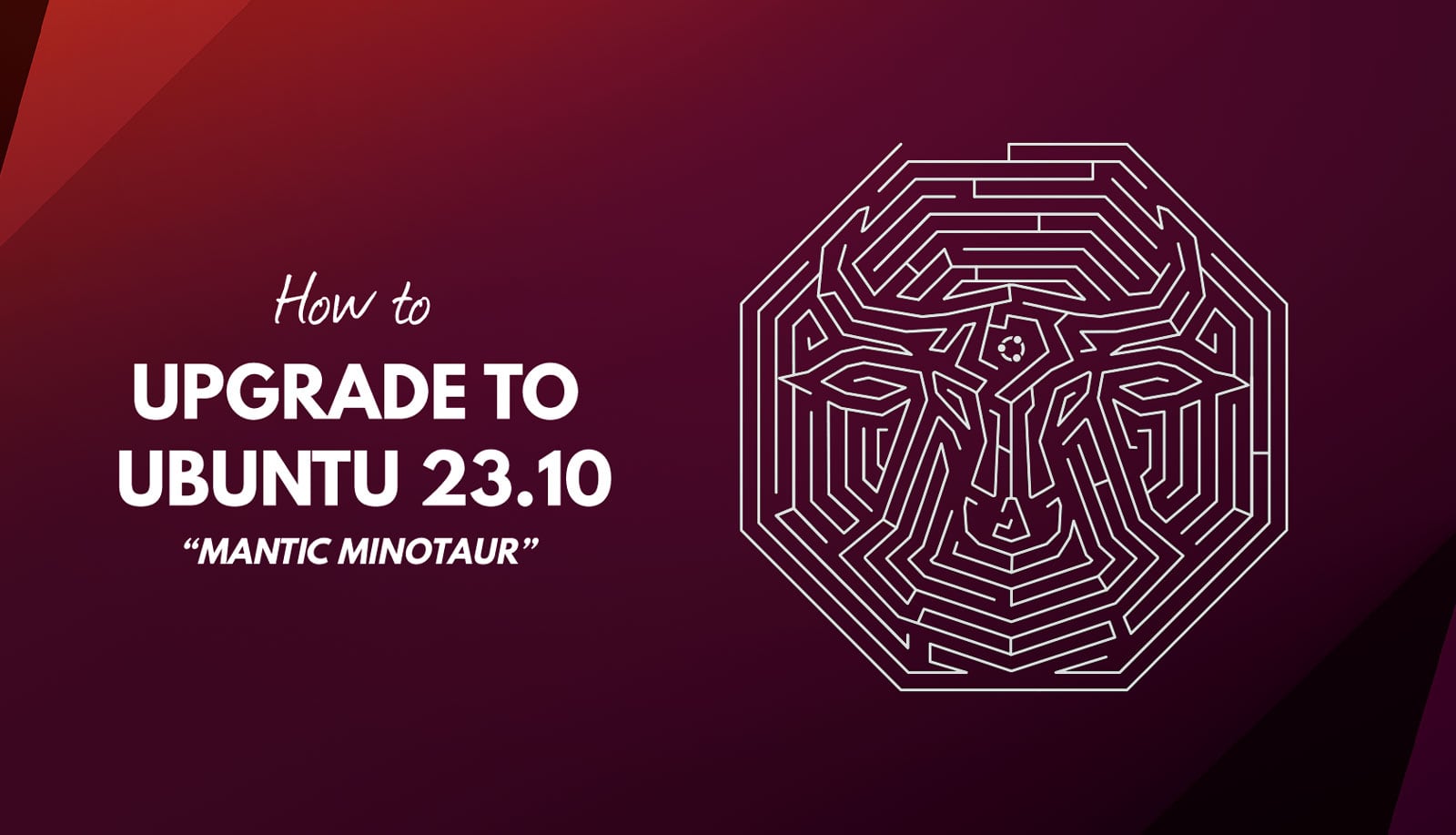 How to Upgrade to Ubuntu 23.10 ‘Mantic Minotaur’ – Tipsbeginners