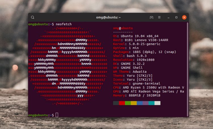 A screenshot of the Neofetch app running on Ubuntu 19.04