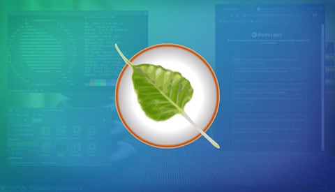 Bodhi Linux 7.0 Released with New Themes & New Kernels – Tipsbeginners