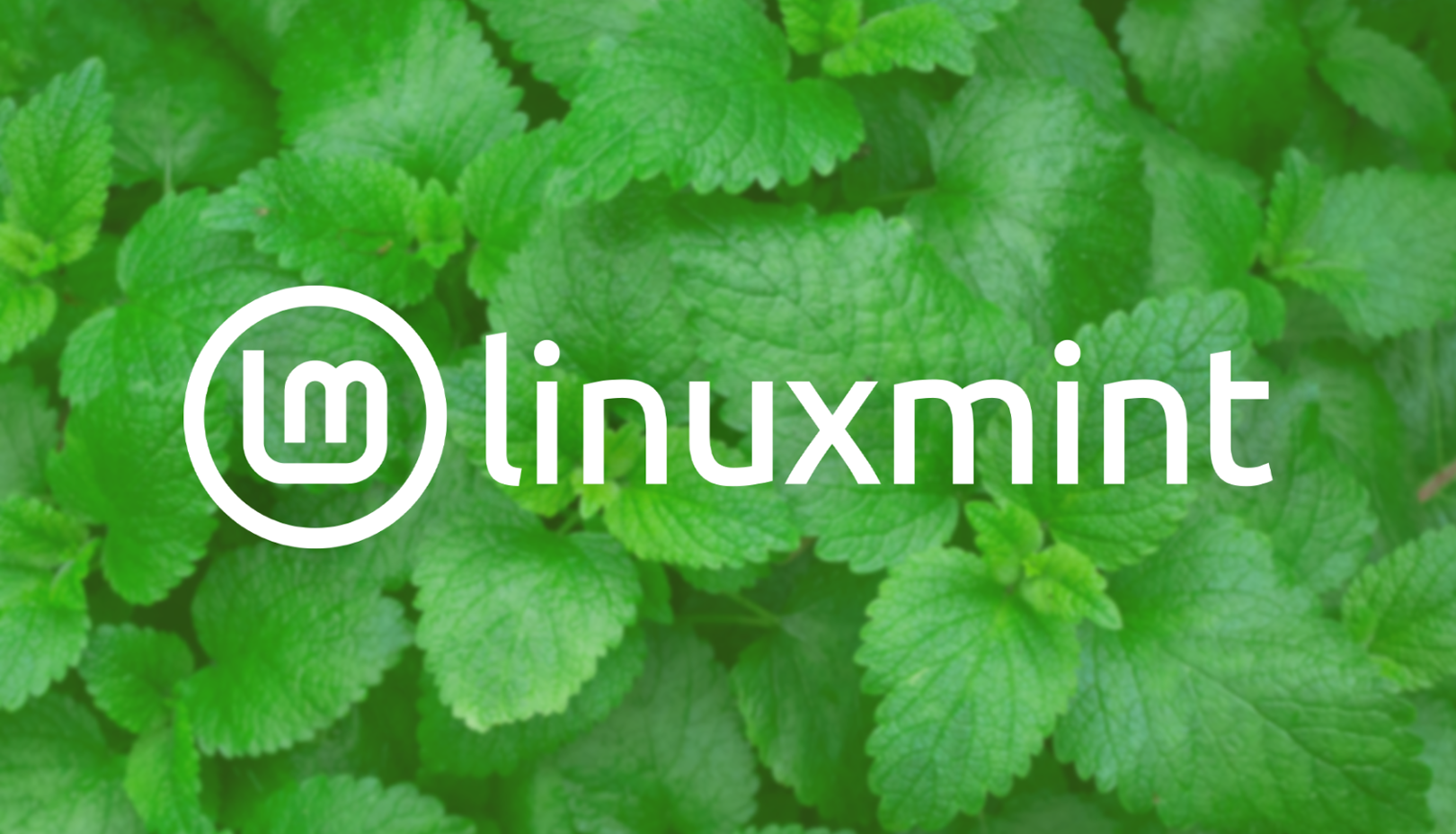 LMDE 6 (Linux Mint Debian Edition) Beta is Available to Download – Tipsbeginners