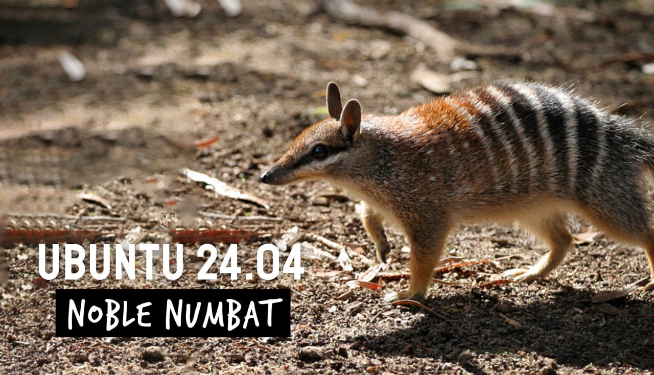 Ubuntu 24.04 ‘Noble Numbat’ is Now Open for Development – Tipsbeginners