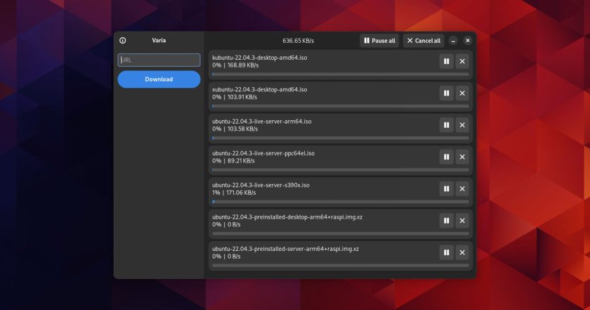 Varia download manager for Linux